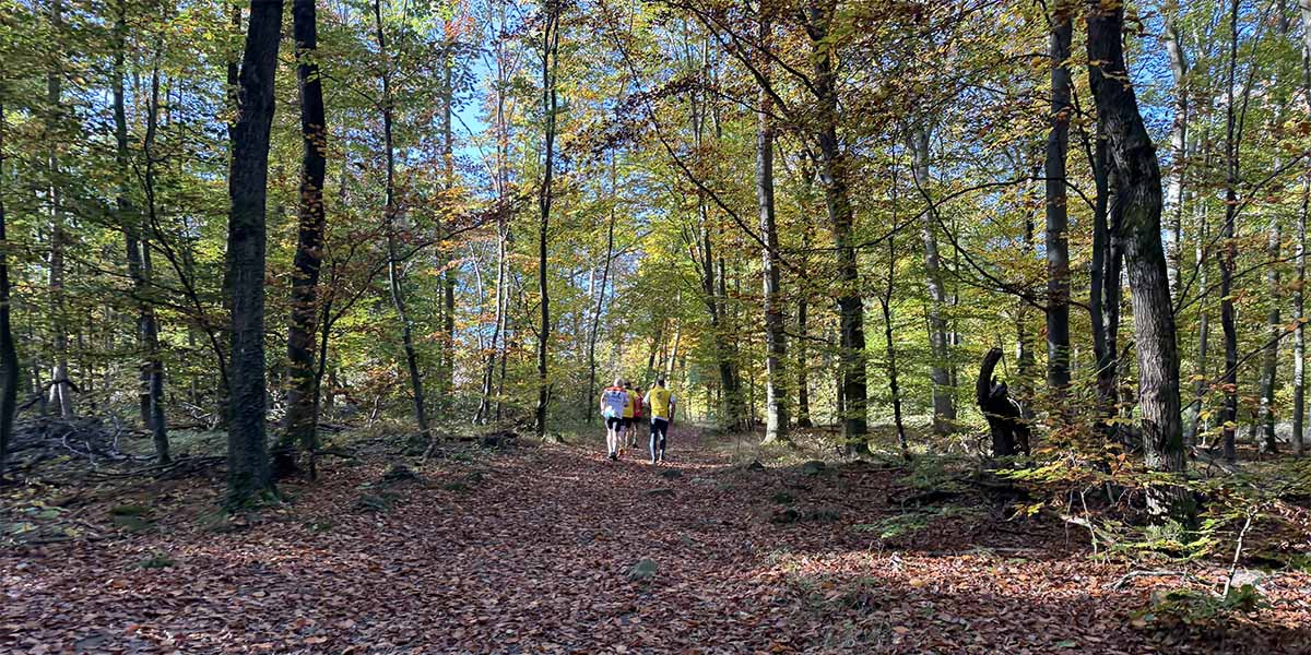 Laufgruppe 26.10.24