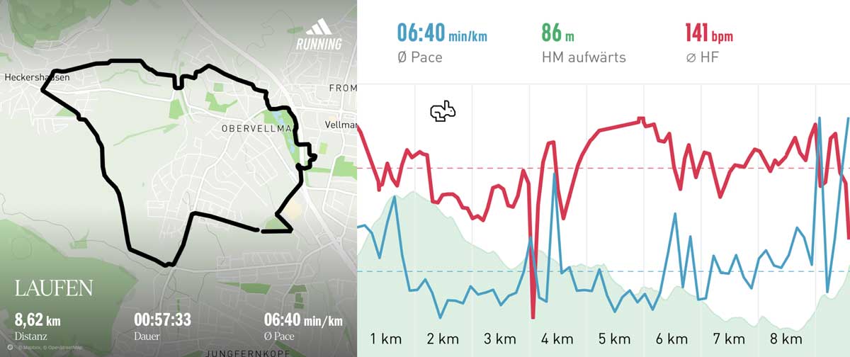 Laufgruppe 30.10.24 Strecke