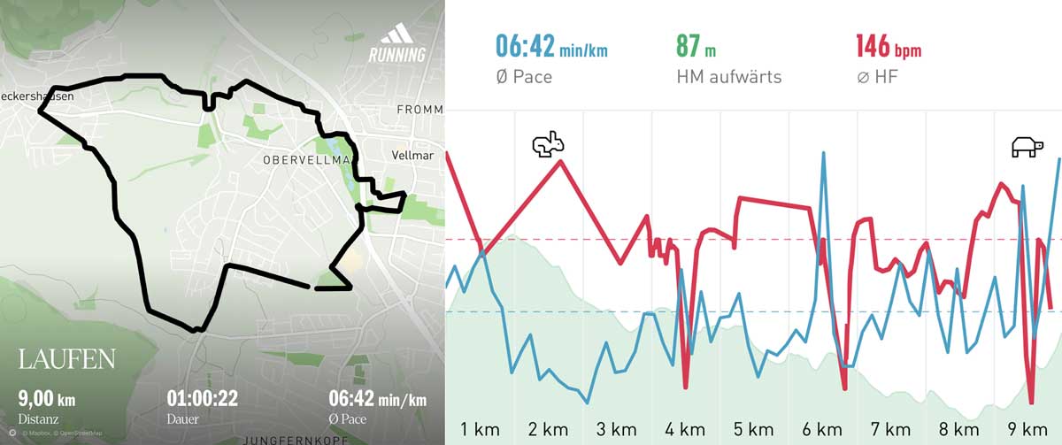 Laufgruppe 06.11.24 Strecke