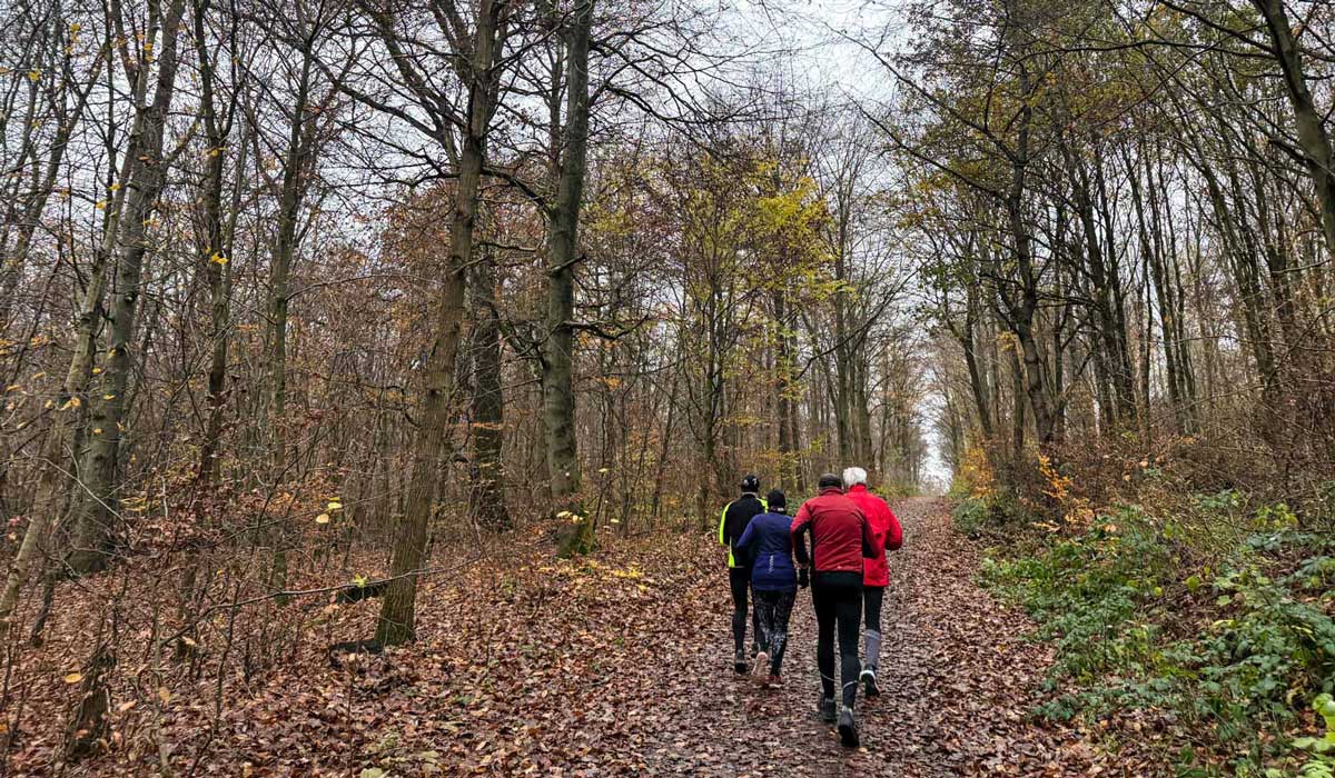 Laufgruppe 23.11.24