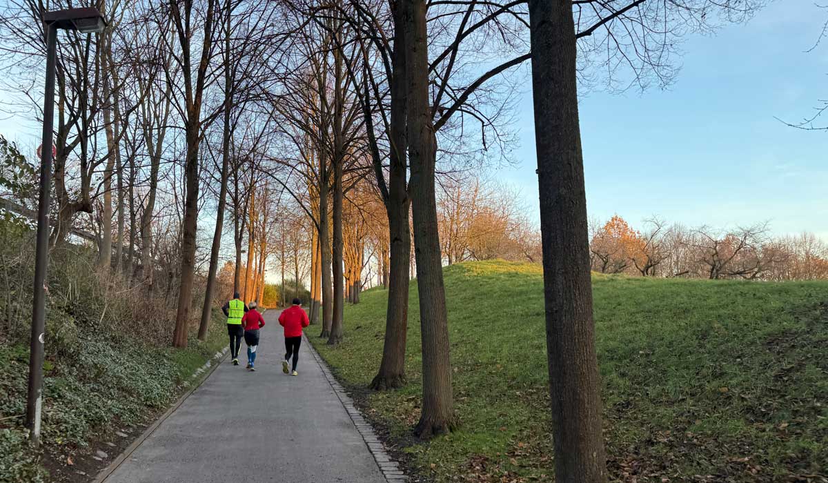 Laufgruppe 30.11.24