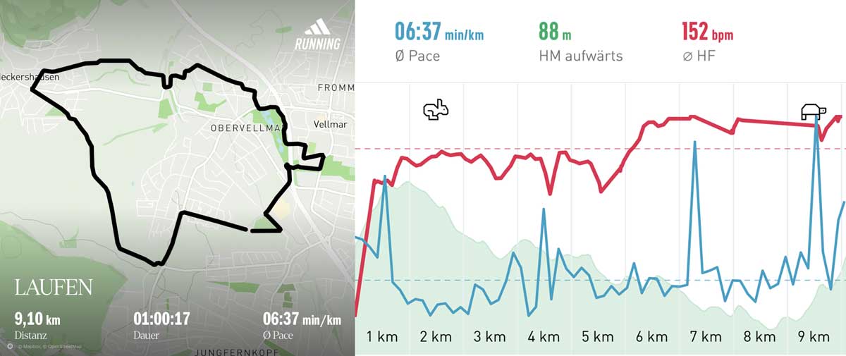 Laufgruppe 08. Januar 2025 Strecke