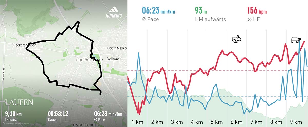 Laufgruppe 11. Januar 2025 Strecke