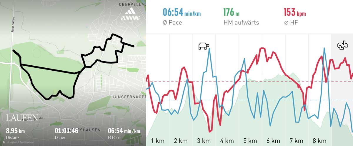 Laufgruppe 25. Januar 2025 Strecke