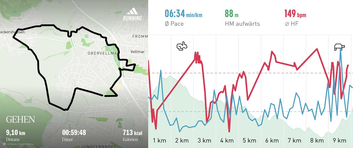 Laufgruppe 25. Januar 2025 Strecke