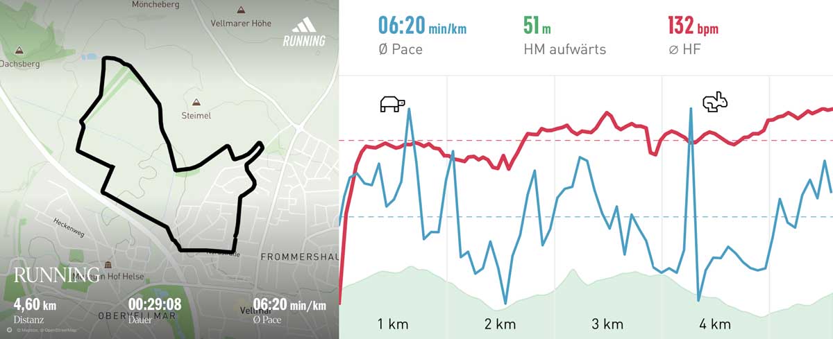 Morning run 12 August 2025 Course