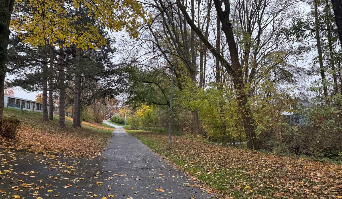 Sunday run 9 November 2025