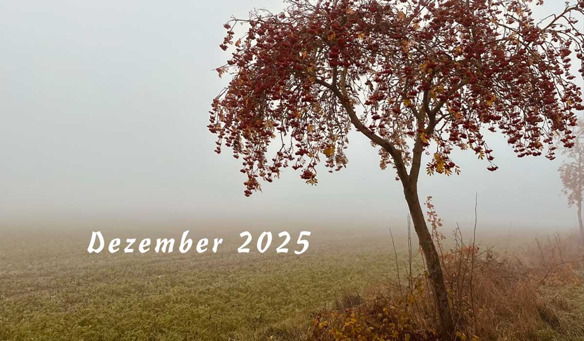 Laufen Dezember 2025