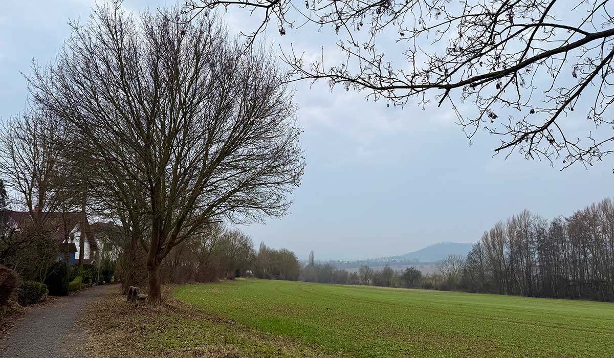 Laufen 24. Januar 2026