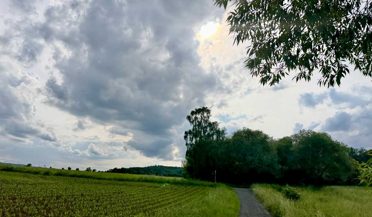 Running 1 June 2026