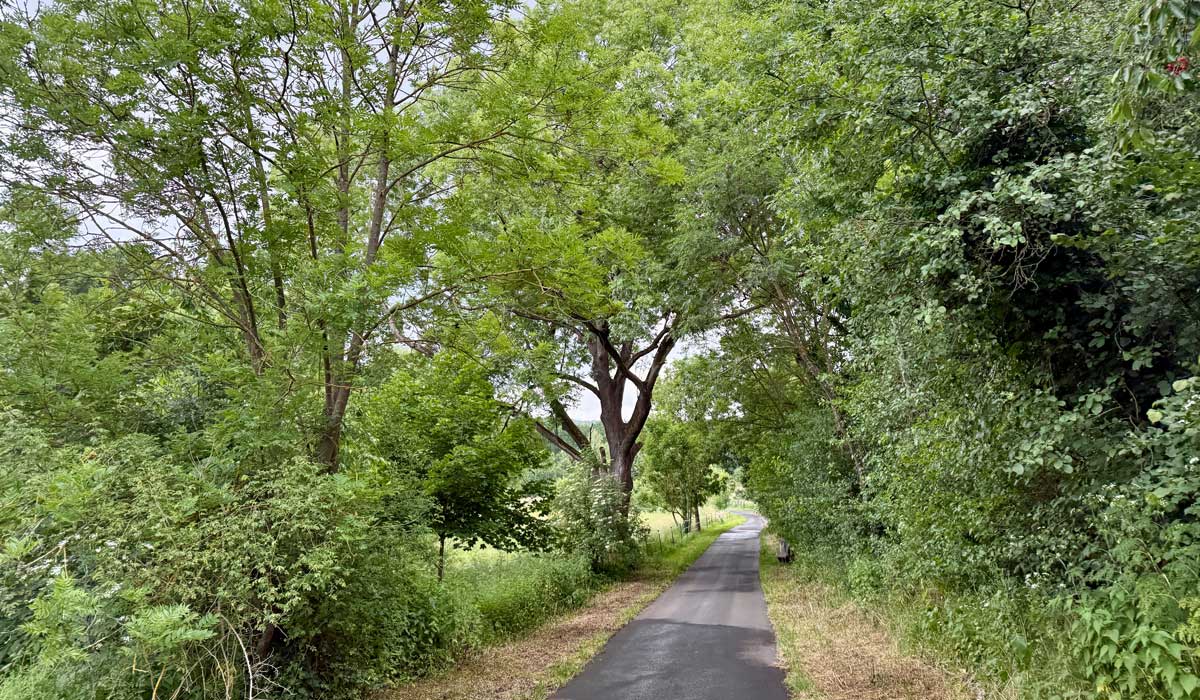 Running 16 June 2026
