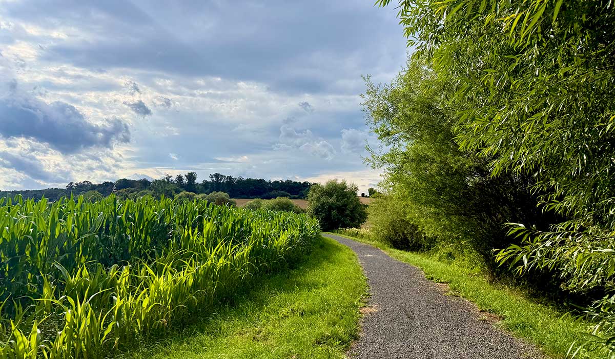 Laufen 06. Juli 2026