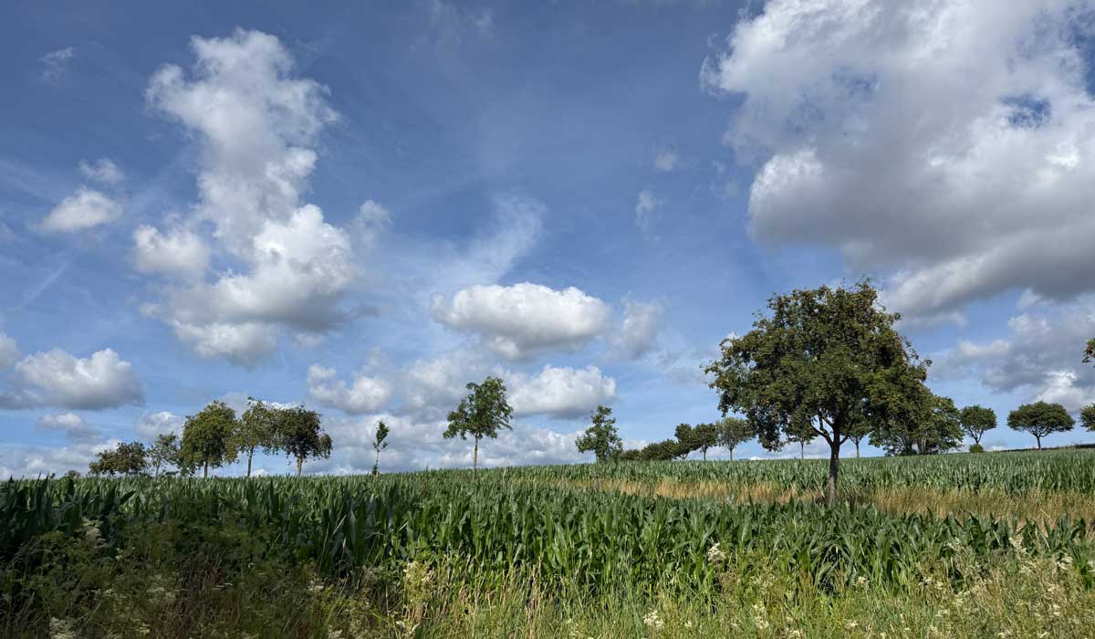 Laufen 08. Juli 2026