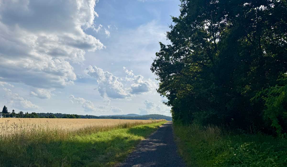 Laufen 13. Juli 2026