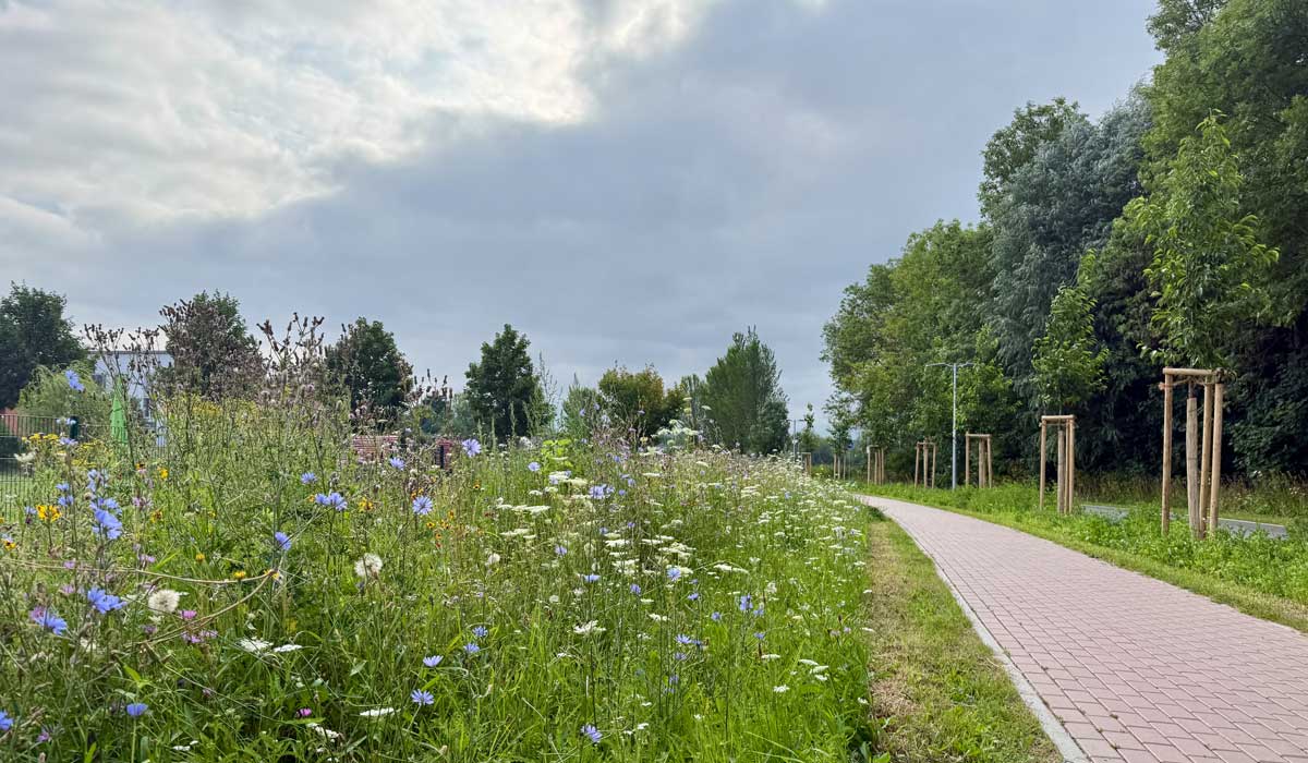 Laufen 18. Juli 2026
