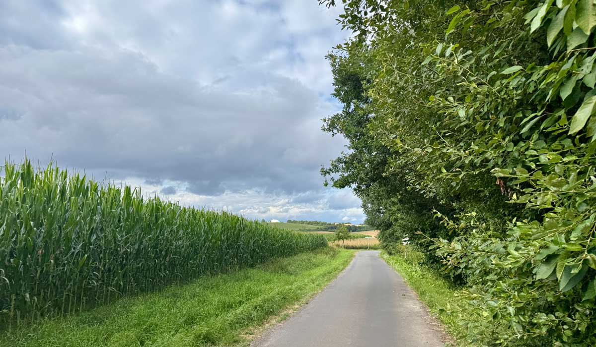 Laufen 20. Juli 2026